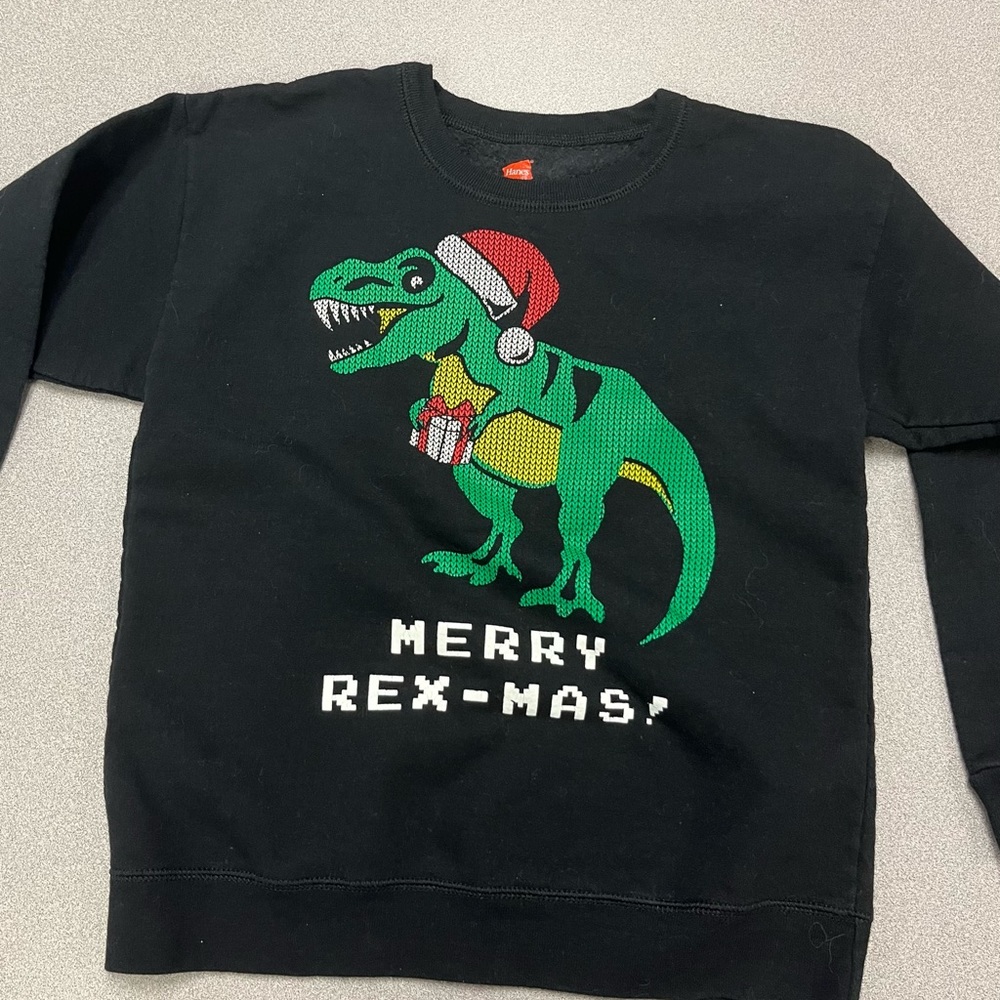 Kids Christmas T-Rex Sweatshirt